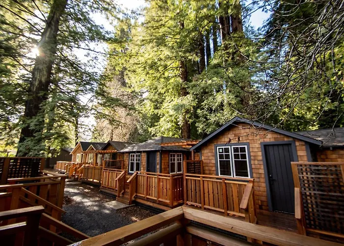 Dawn Ranch