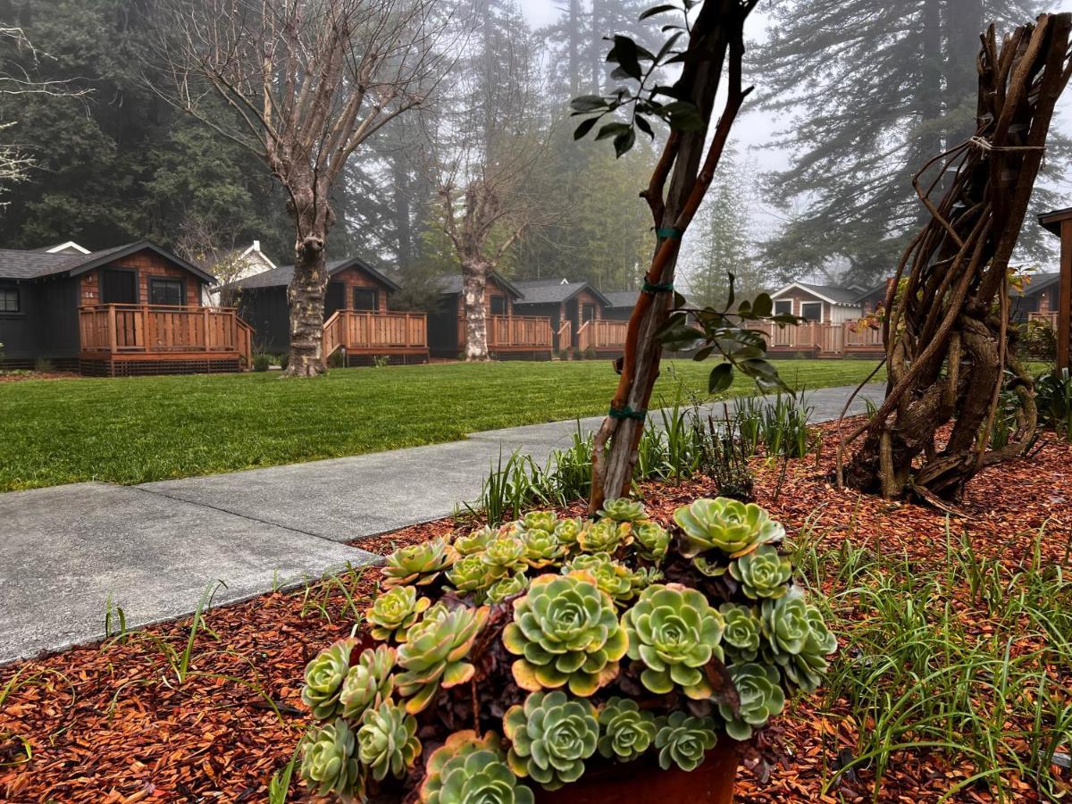 Dawn Ranch Guerneville