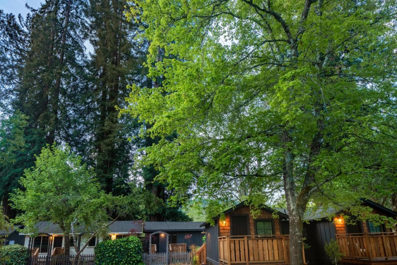 Hotel Dawn Ranch 4*